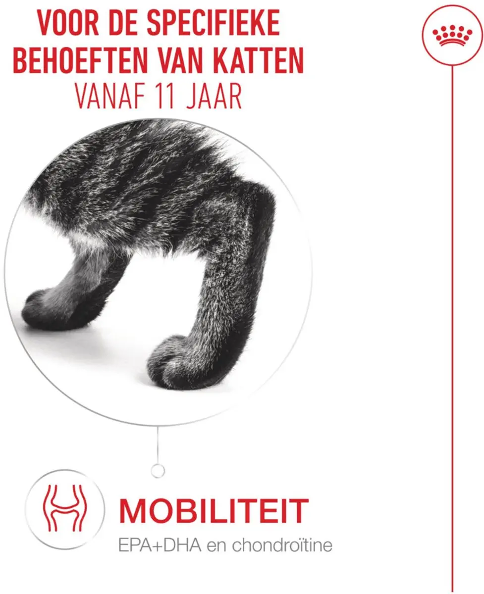 Royal Canin Ageing 11+ Kattenvoer Droog - 6x 2kg - afbeelding 6 van 6