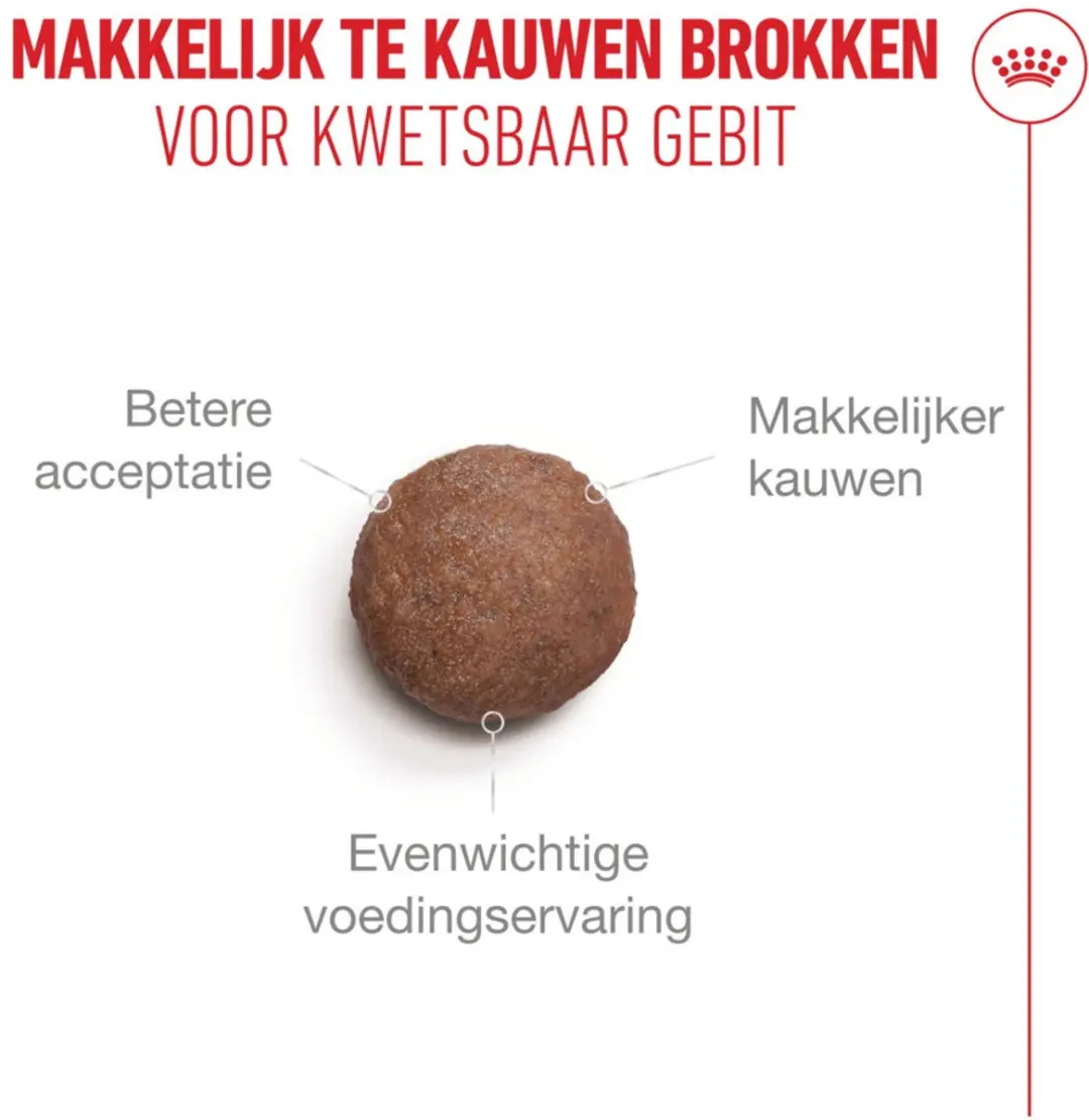 Royal Canin Ageing 11+ Kattenvoer Droog - 6x 2kg - afbeelding 5 van 6