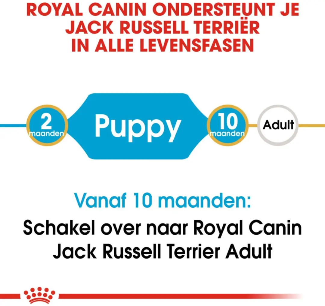 Royal Canin Jack Russell Puppy Hondenvoer Droog - 4x 3kg - afbeelding 5 van 5