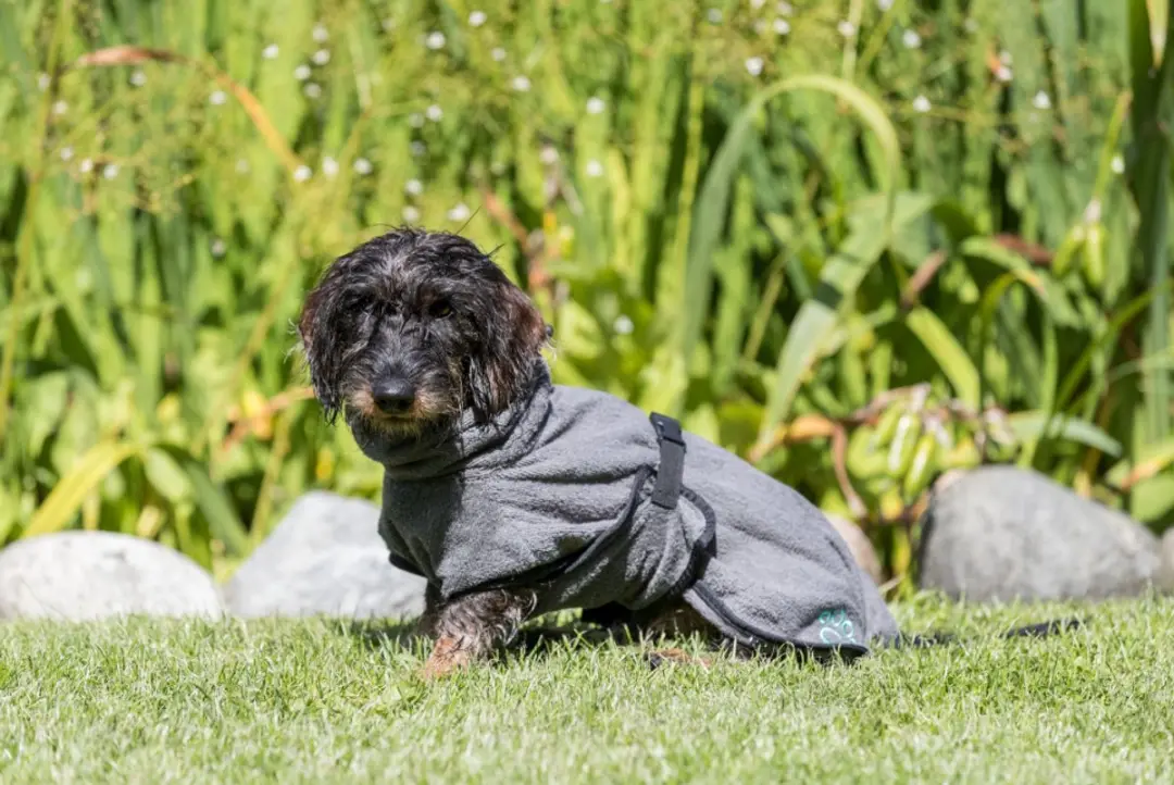 Trixie Badjas Voor Honden - Grijs - XL 75cm - afbeelding 6 van 6