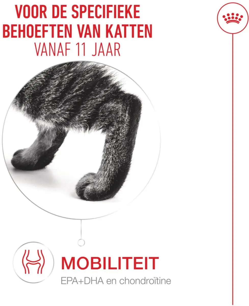 Royal Canin Ageing 11+ Mousse Kattenvoer - 85g - afbeelding 3 van 5