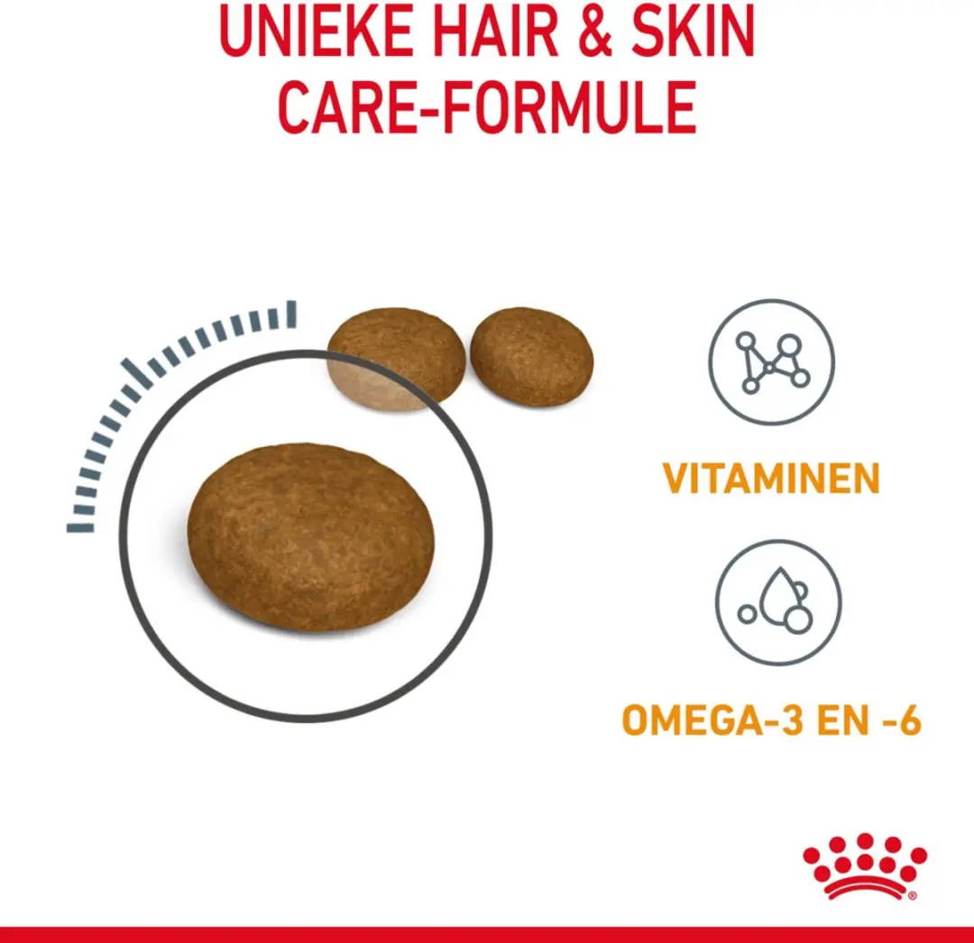 Royal Canin Hair and Skin Kattenvoer Droog - 6x 2kg - afbeelding 3 van 6