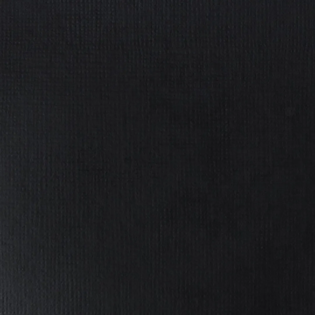 Liquitex Basics Acrylverf Mars Black 250ml