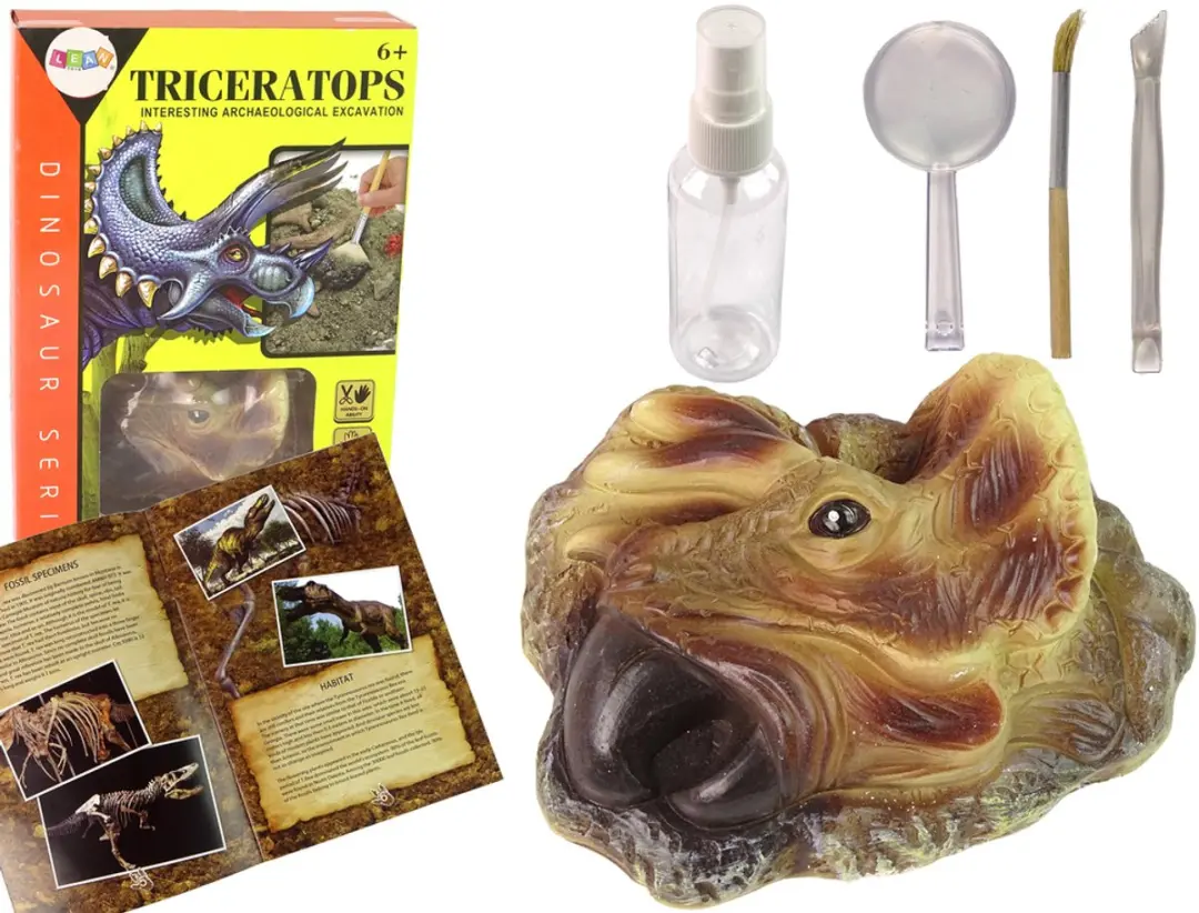 Triceratops dinosaurus opgraving educatieve kit