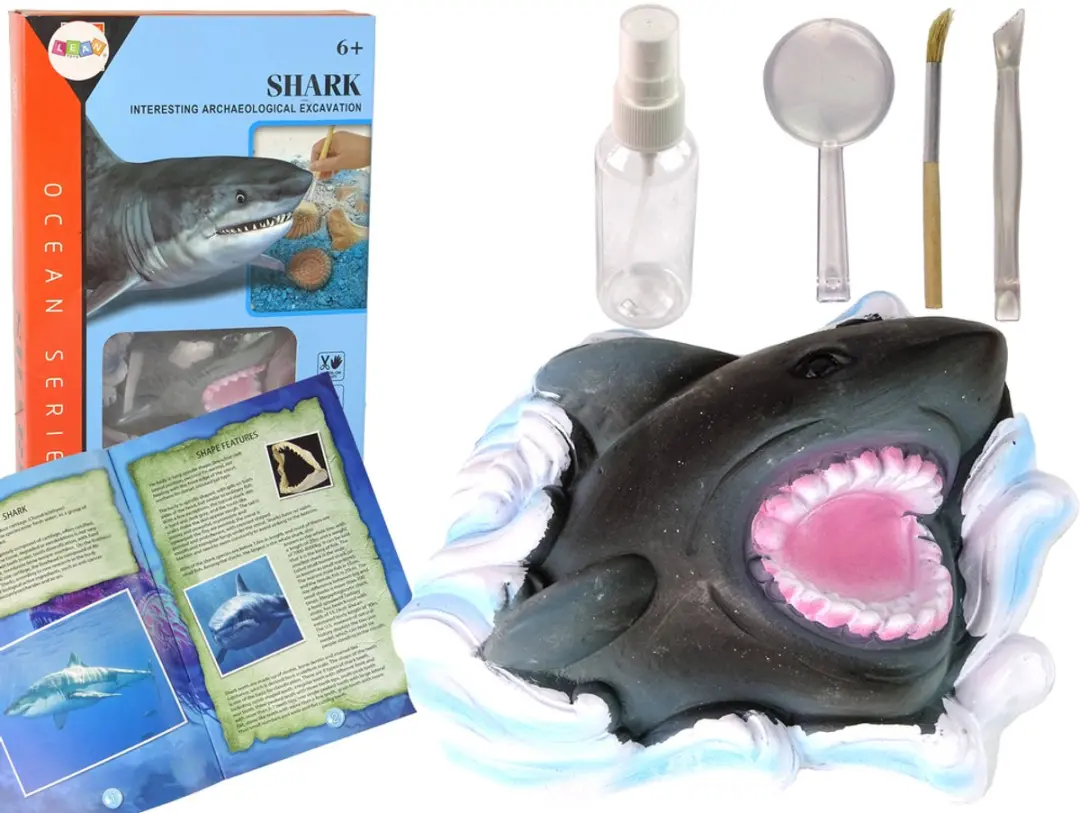 Educatieve kit voor opgraving van ammoniethaaien