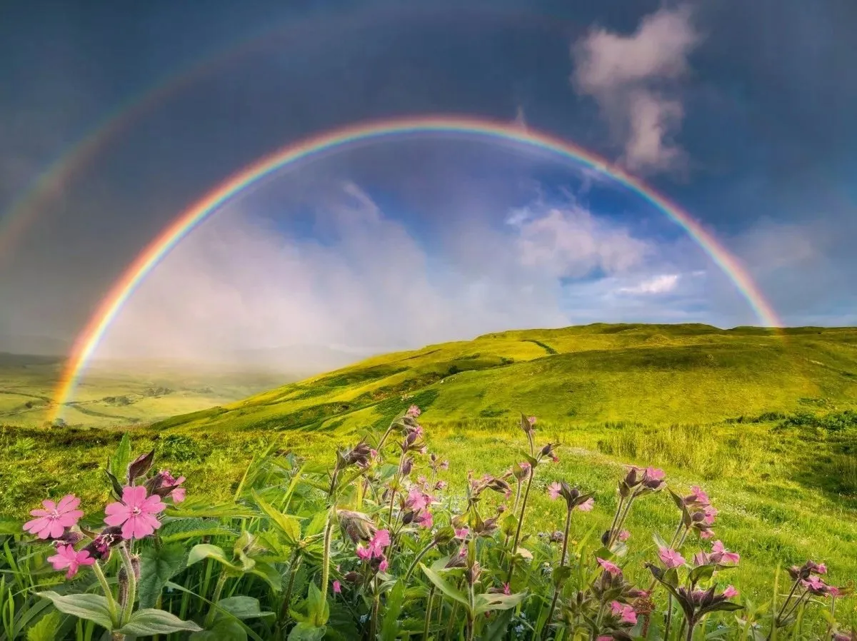 Ravensburger Puzzle Regenboog 1500 Stuks - afbeelding 2 van 3