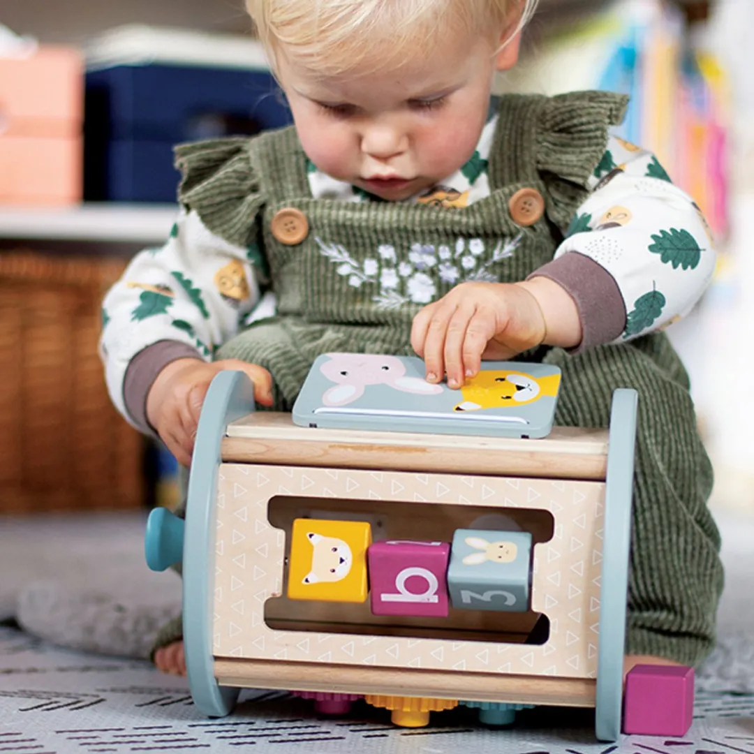 BIGJIGS Rollend Activiteiten Centrum 34047 - Meerkleurig