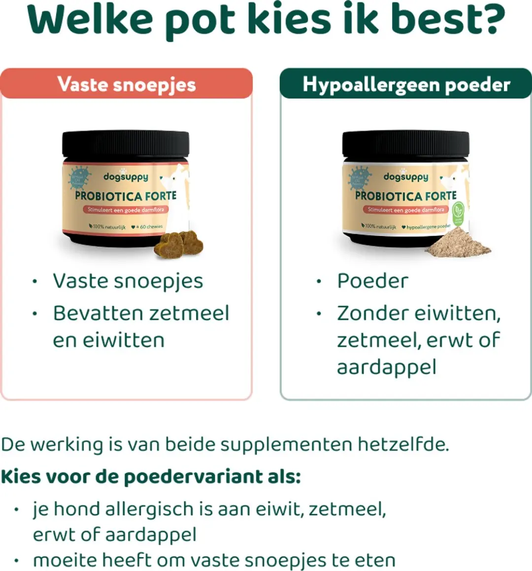 DogSuppy Probiotica Forte Poeder - 30 schepjes - afbeelding 6 van 6