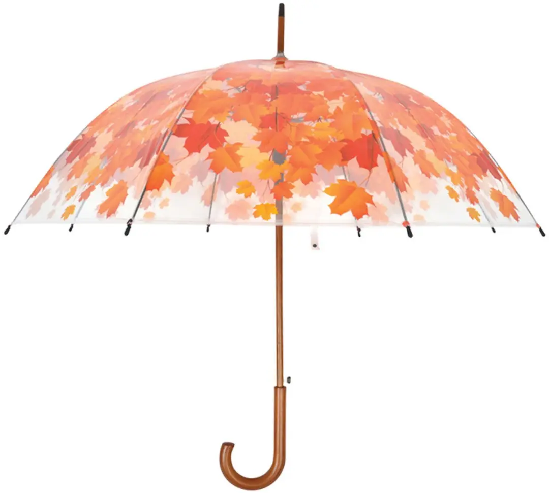 Paraplu boomkroon herfst