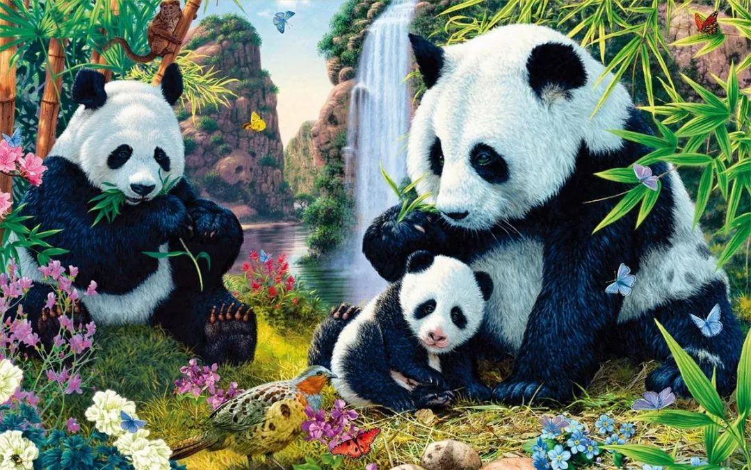 VDTOYS Diamond Painting VDTB144 Panda's