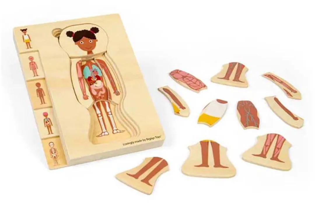 BIGJIGS Houten Anatomiepuzzel Meisje 26 Stuks - Multicolor