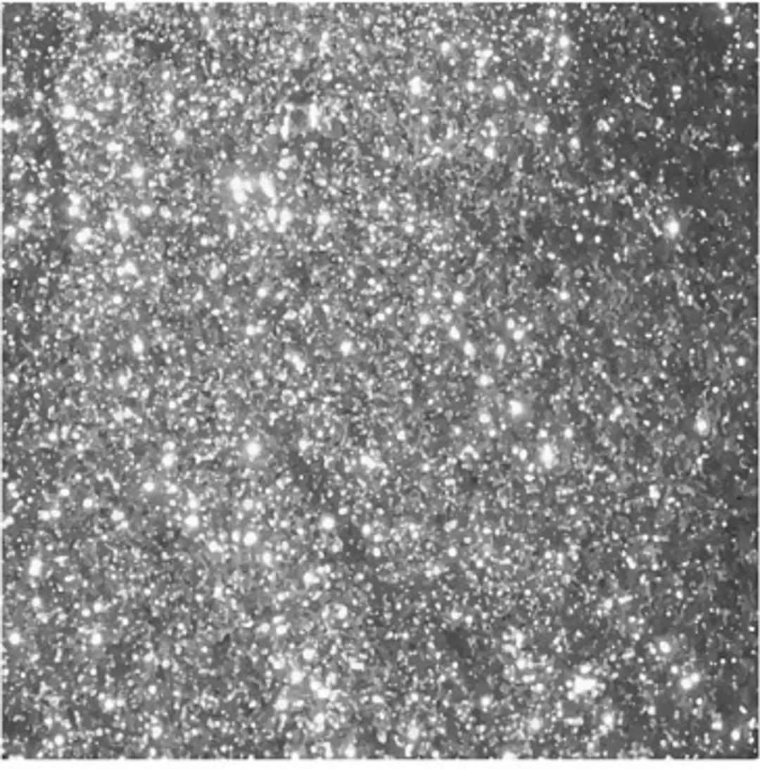 Creativ Company Glitter & Pailletten Set Zilver - 6x5g
