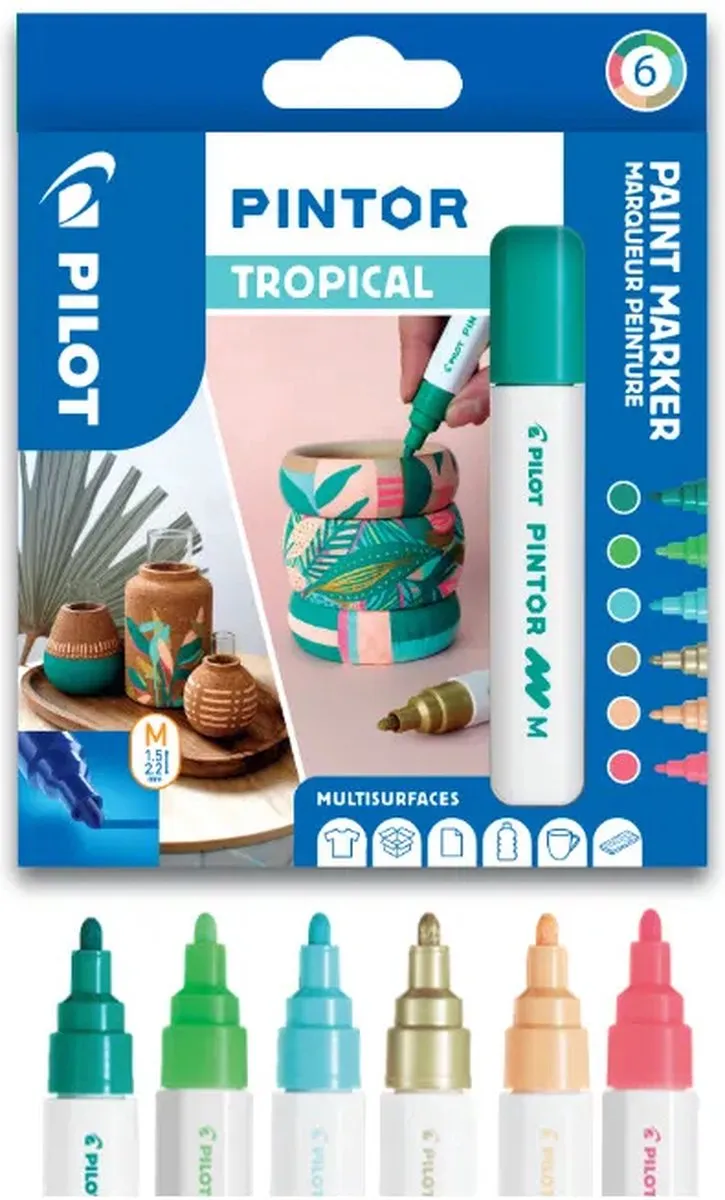Pilot Pintor Verfstiften