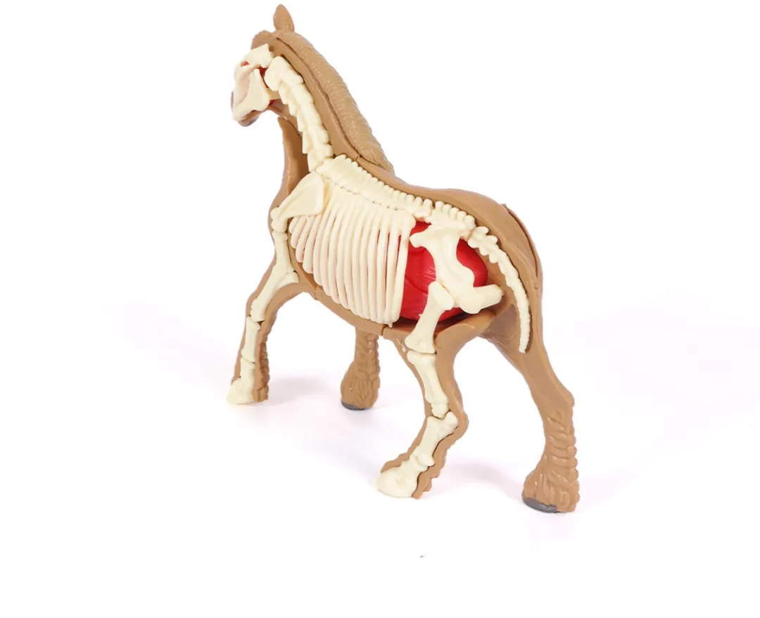 PIA Soft Toys 3D Anatomie Paard - Bruin/Wit