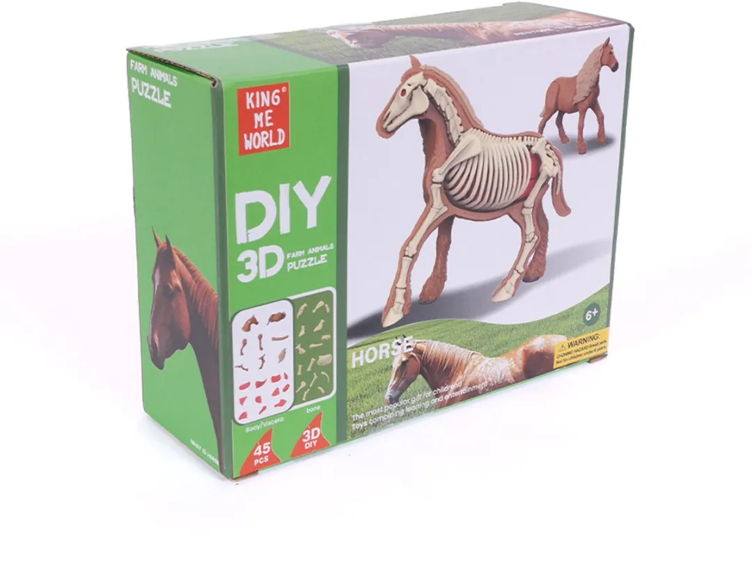 PIA Soft Toys 3D Anatomie Paard - Bruin/Wit - afbeelding 6 van 6
