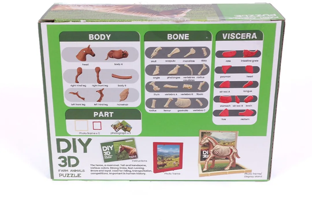 PIA Soft Toys 3D Anatomie Paard - Bruin/Wit