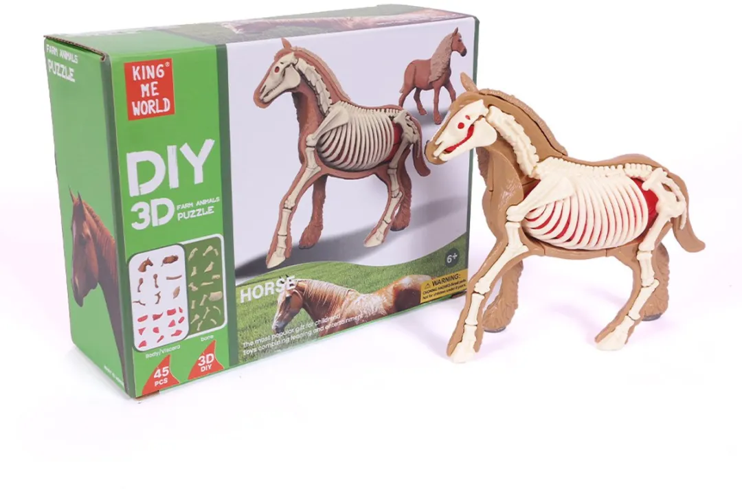 PIA Soft Toys 3D Anatomie Paard