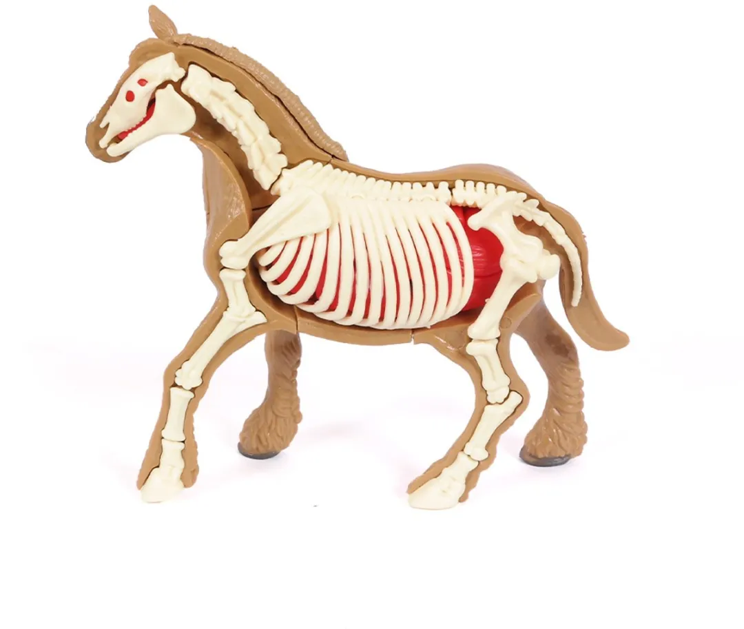 PIA Soft Toys 3D Anatomie Paard - Bruin/Wit