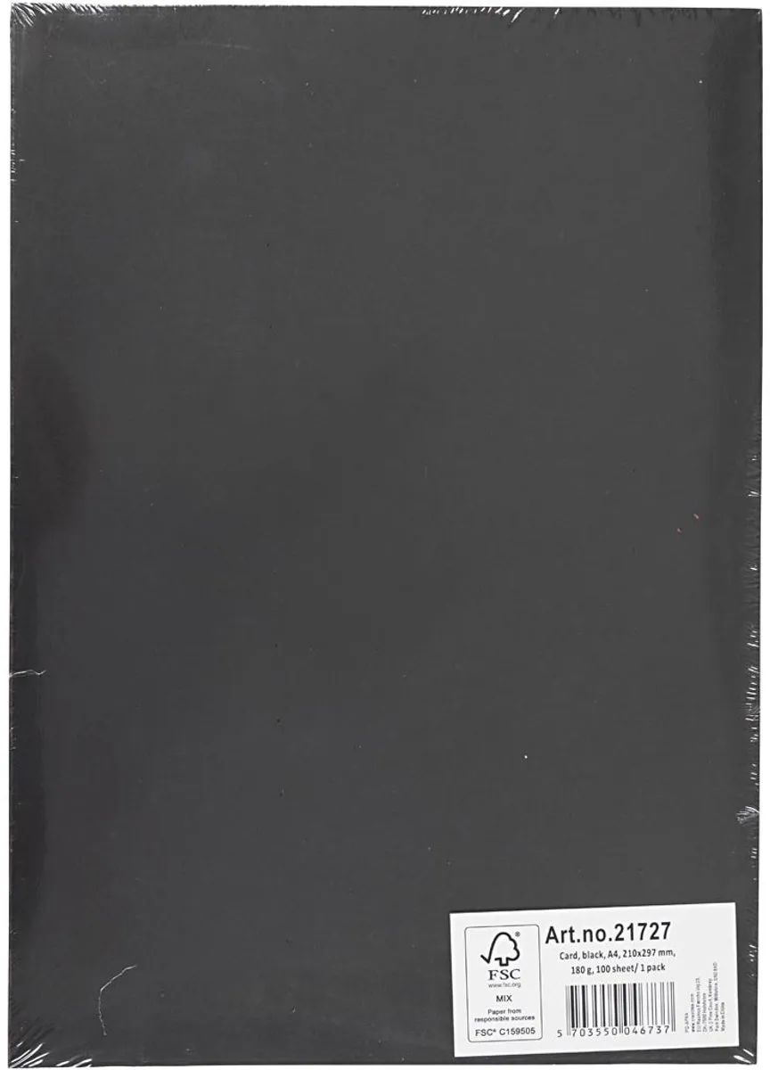 Creativ Company Zwart A4 Karton 180g - 100 Vellen