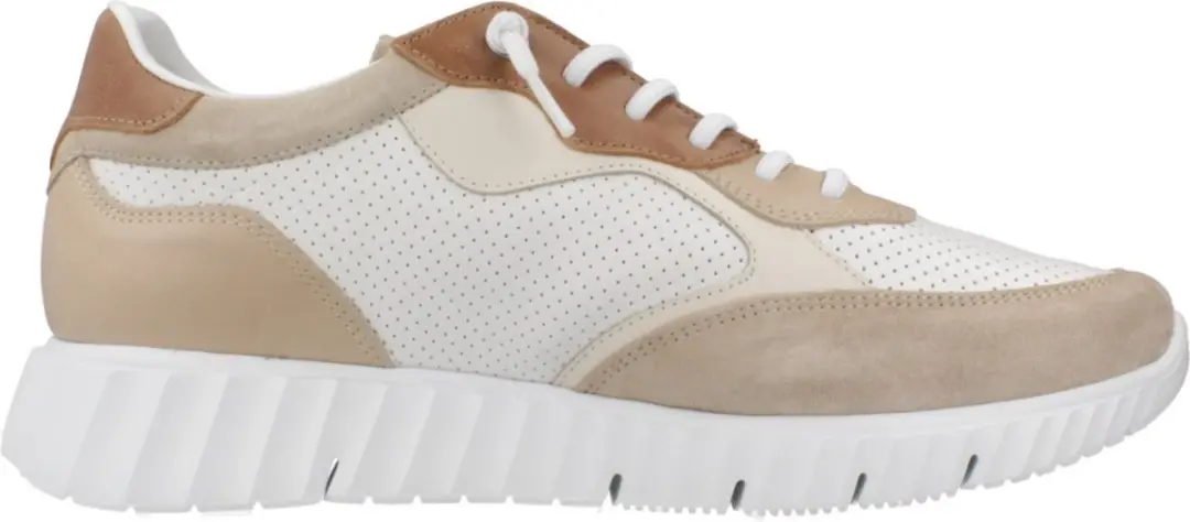 CETTI C1384 Bruin 44 EU