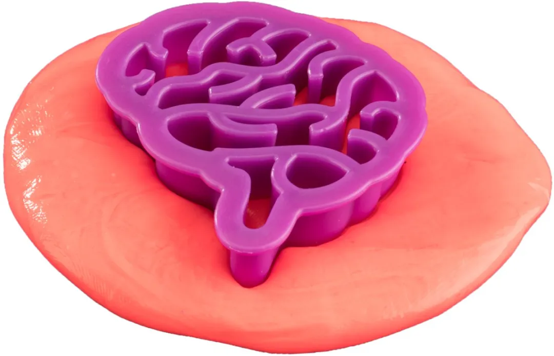 Kosmos Squishy Organs Experimenteerset 616816 - Multikleurig