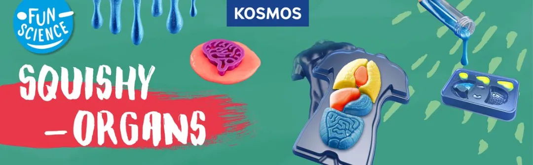 Kosmos Squishy Organs Experimenteerset 616816 - Multikleurig