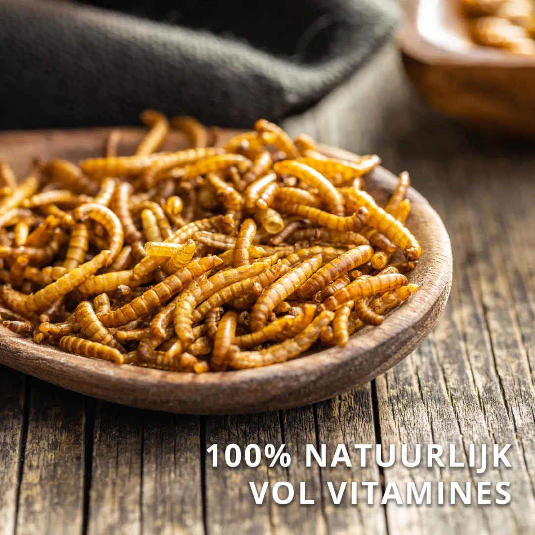 Topdiervoeding Meelwormen Gedroogd Vogelvoer 10kg