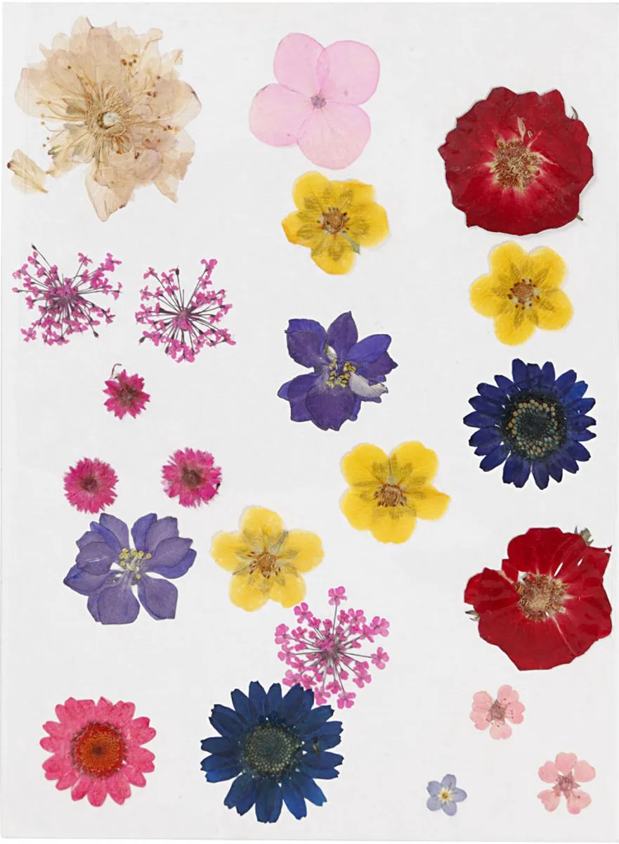 Creativ Company Gedroogde Bloemen & Bladeren
