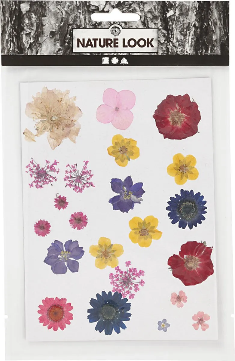 Creativ Company Gedroogde Bloemen & Bladeren - 19 Stuks Multikleur