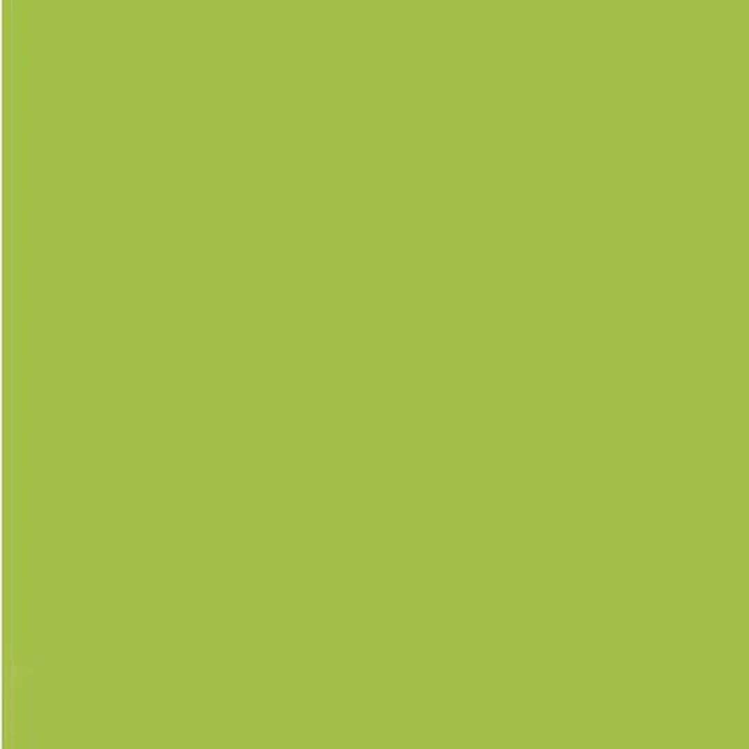 Quantore Kopieerpapier A4 120gr Helgroen - 100 Vel
