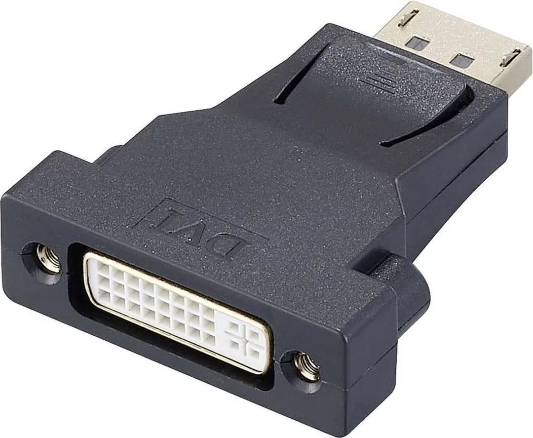Renkforce RF-4212237 DisplayPort naar DVI Adapter - Zwart