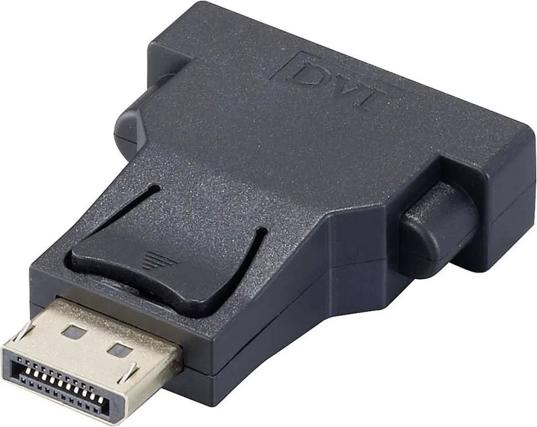 Renkforce RF-4212237 DisplayPort naar DVI Adapter - Zwart