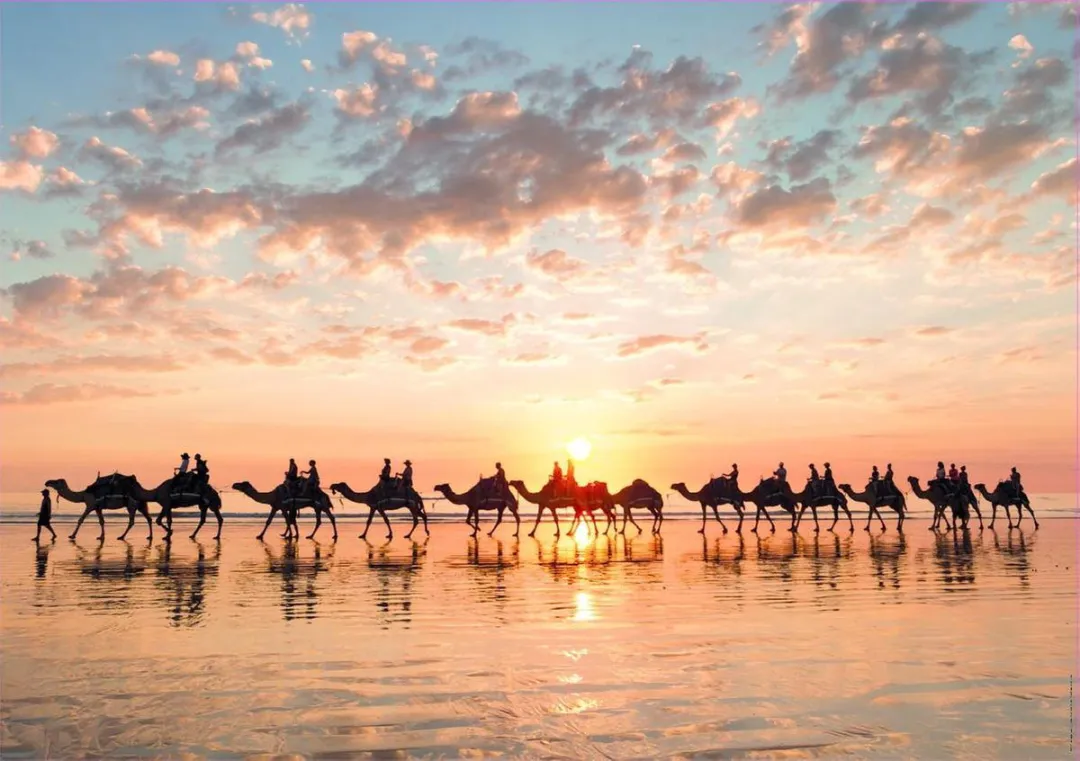 Educa Zonsondergang Cable Beach Australië 1000 Stuks Puzzle - Multicolor