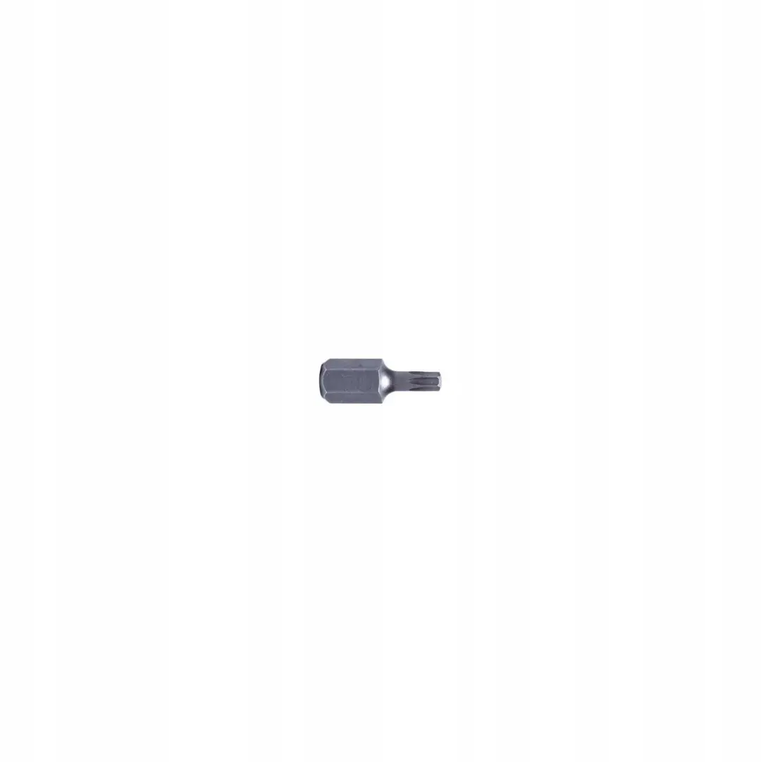 PROLINE Torx Bitset T40 3/8" (10mm) 30mm L