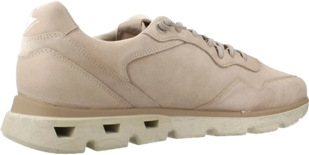 CETTI C1408 V26 Beige 44 EU