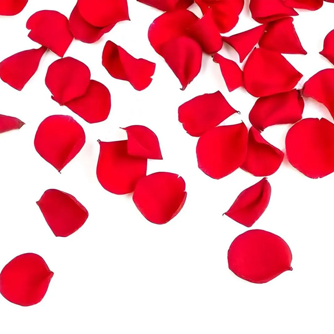 Rozenblaadjes - Rood - 250 stuks