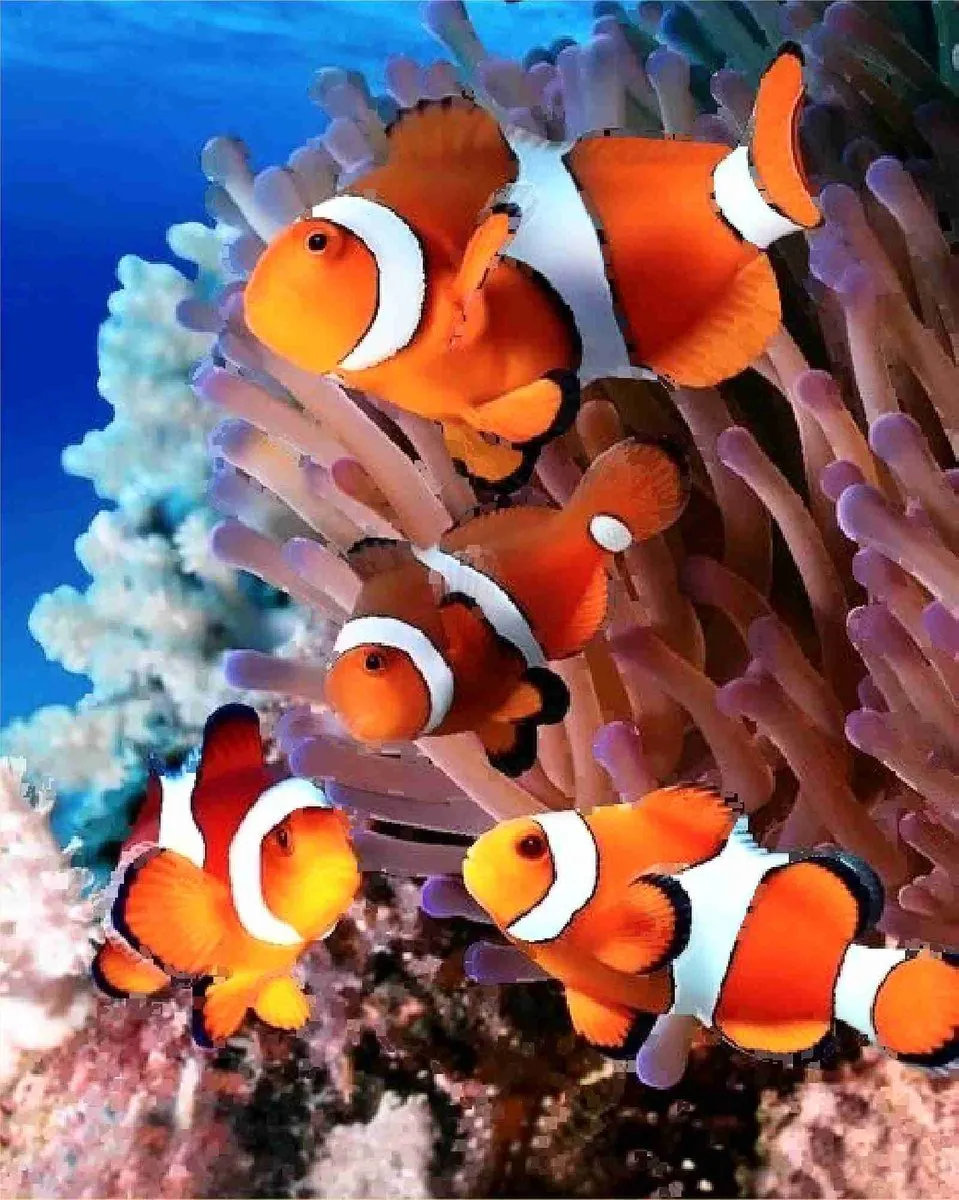 VDTOYS DIAMOND Painting VDTD247 Aquarium