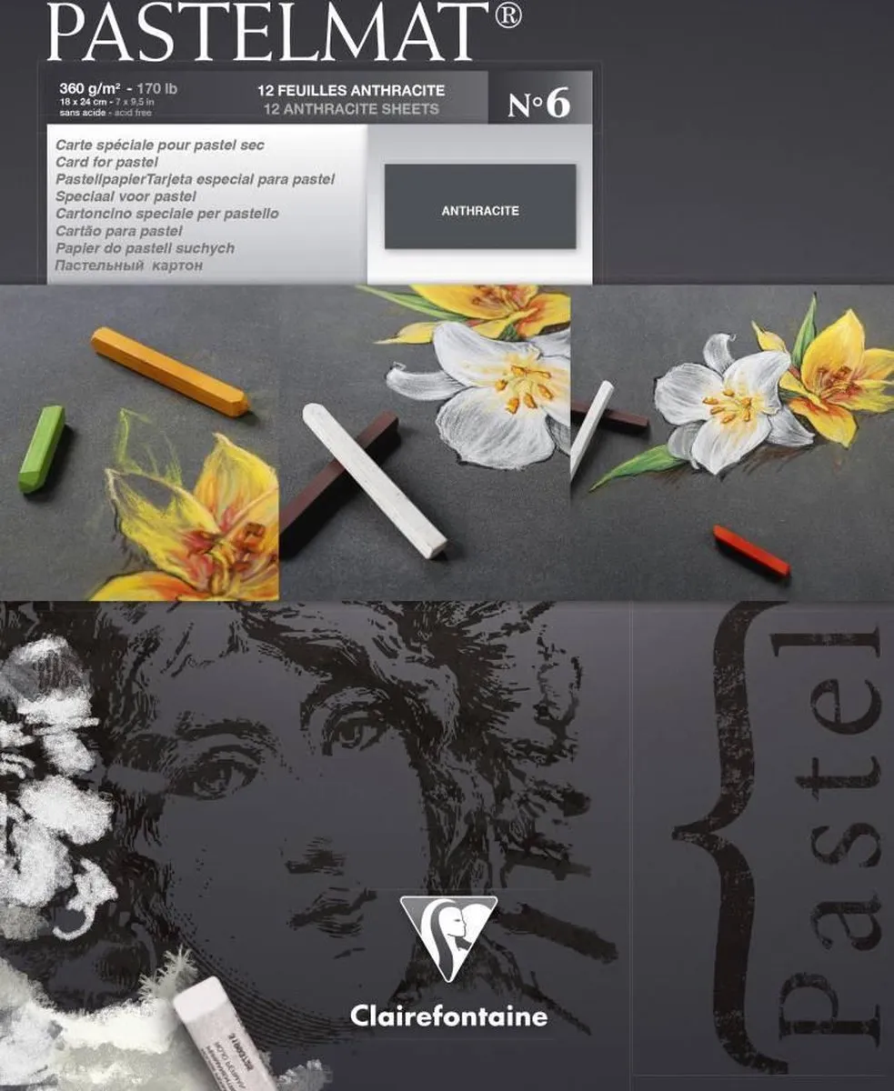 Clairefontaine Pastelmat Blok No.6 Antraciet 18x22cm