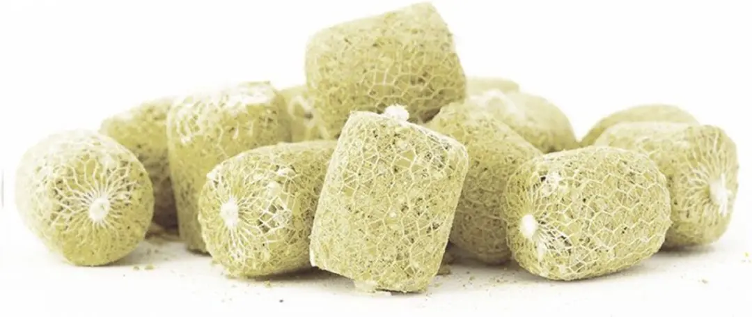 Proline Magic Mango PVA Bombs - 18st - afbeelding 3 van 5