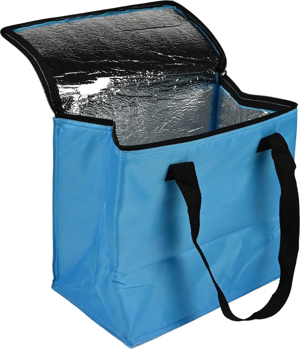 Benson Compacte en duurzame koeltas