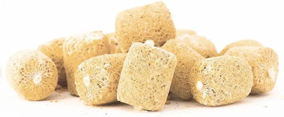Proline PVA Bombs Coco & Banana