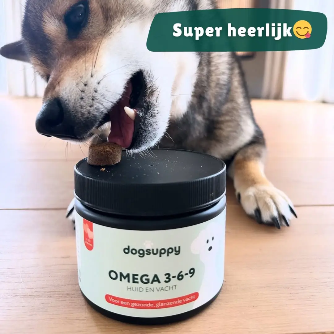 DogSuppy Huid & Vacht Omega 3-6-9 Supplement - 60 Snoepjes - afbeelding 5 van 6