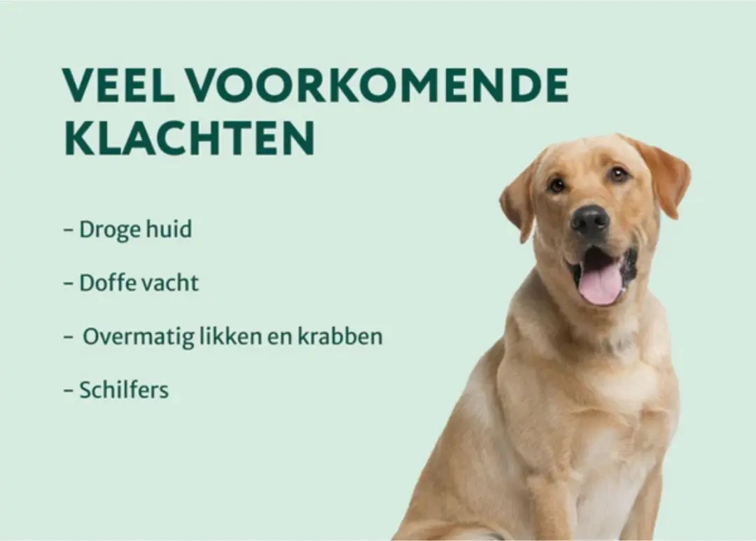 DogSuppy Huid & Vacht Omega 3-6-9 Supplement - 60 Snoepjes - afbeelding 3 van 6