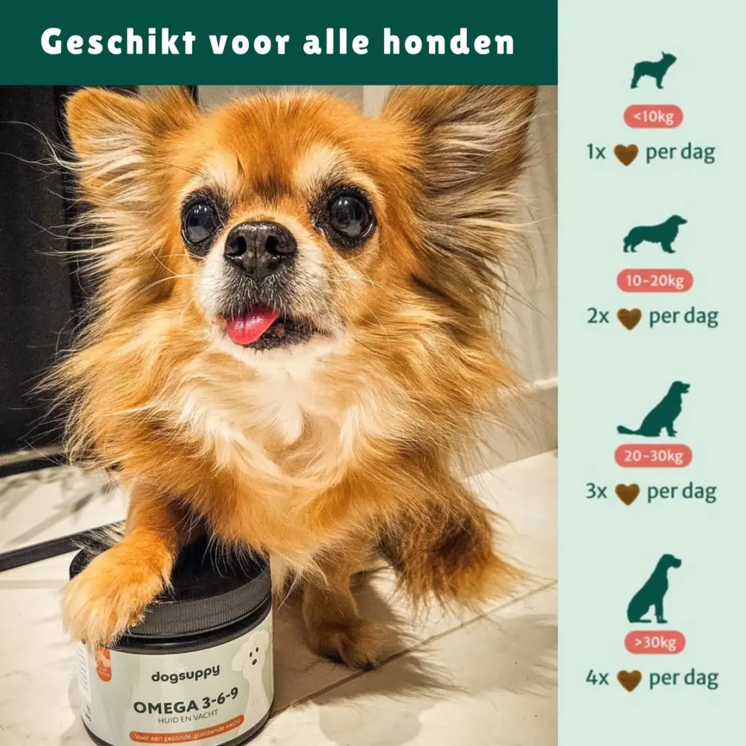 DogSuppy Huid & Vacht Omega 3-6-9 Supplement - 60 Snoepjes - afbeelding 4 van 6
