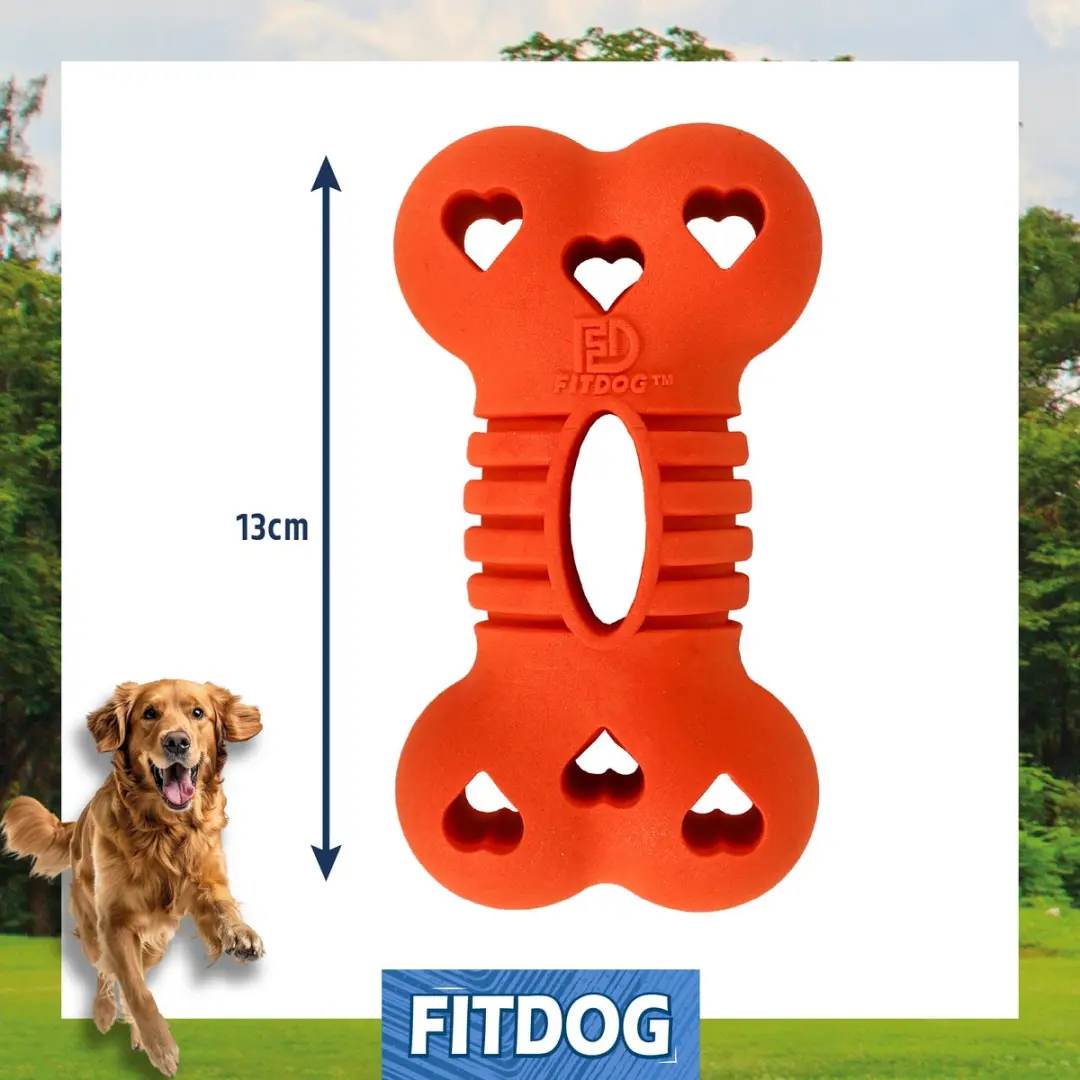 Rosewood FitDog Apporteerset met Werpstok - Oranje/Blauw - afbeelding 2 van 6