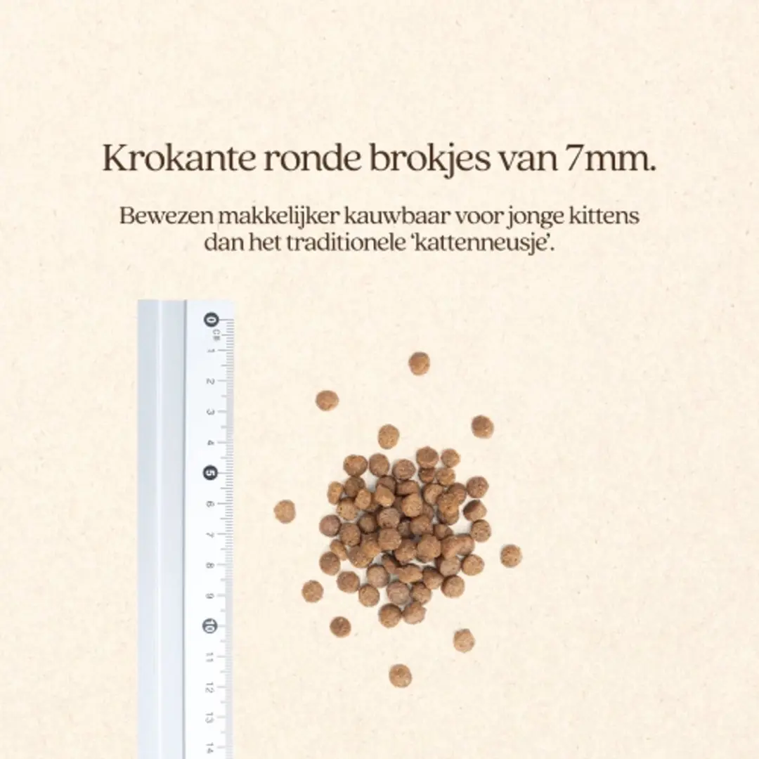 VITALstyle Kitten Kattenvoer - 1,5 kg - afbeelding 4 van 5
