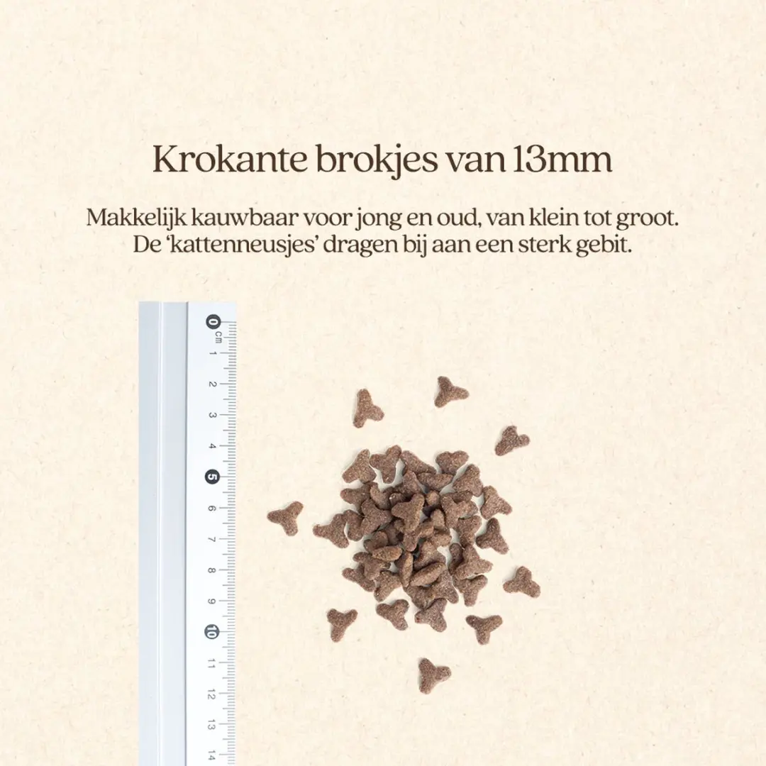 VITALstyle Huid & Vacht Kattenbrokken - 1,5 kg - afbeelding 4 van 6