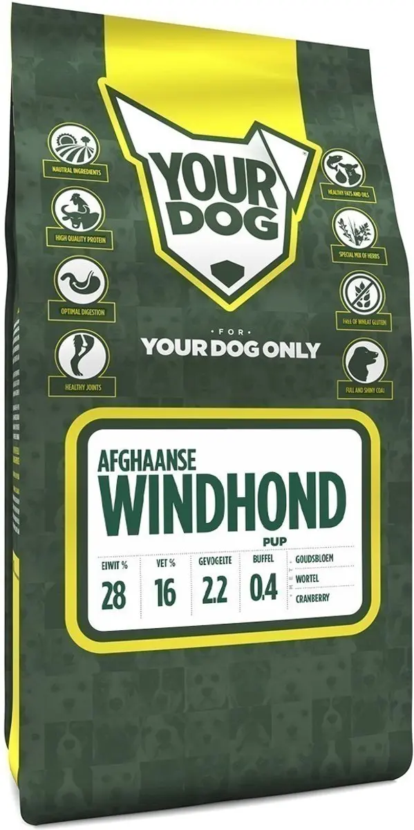 Yourdog afghaanse windhond pup