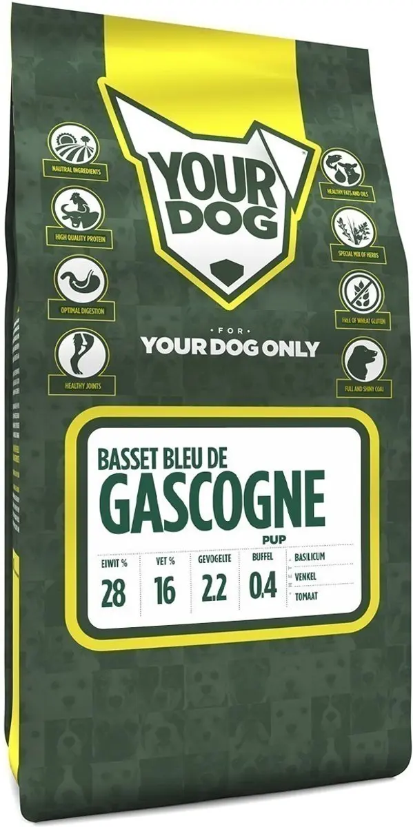 Yourdog basset bleu de gascogne pup