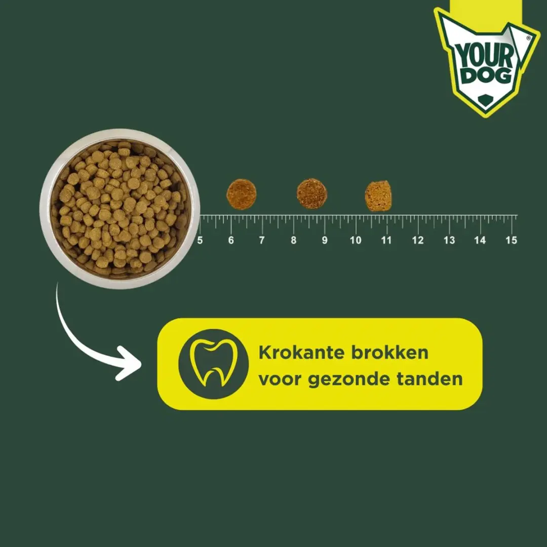 Yourdog Rhodesian Ridgeback Senior Hondenbrokken 12 kg - afbeelding 4 van 4
